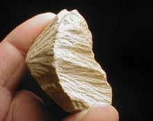 Steinheim shatter cone